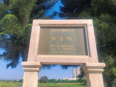 -安平桥