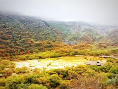 -黄龙山原始森林景区