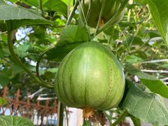 -上海普陀区机动车检测站第十一机动车安全检测站