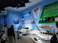 -石林冰雪海洋世界