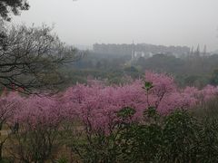 -无锡梅园公园