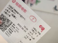 -汉阳天河电影城(王家湾店)