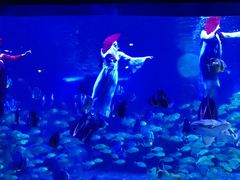 -石林冰雪海洋世界