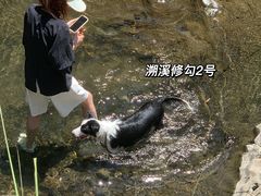 -石台牯牛降景区