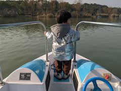 -昆山城市生态森林公园