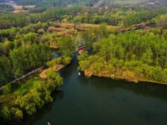 -溱湖国家湿地公园