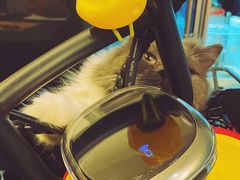 -九号电动车(安定门内大街店)