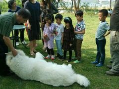 -月亮河温泉度假酒店