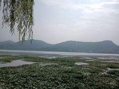 -鸣鹤古镇