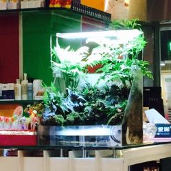 爱手爱脚指甲造型(新世界旗舰店)-爱手爱脚指甲造型