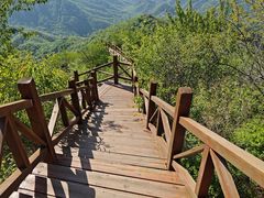 -大岭沟猕猴桃谷风景区