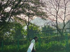 -楠溪江风景名胜区