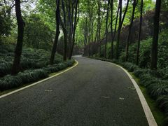 -宜兴龙背山森林公园