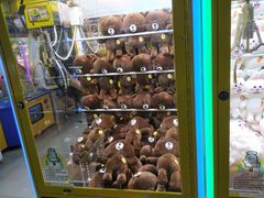 -星悦蓝海欢乐园(石路天虹店)