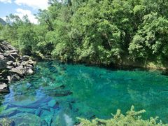 -叠溪松坪沟景区