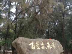 -海之鲜大排档(东山海鲜金銮湾店)