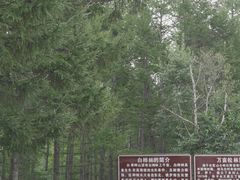 -白草畔自然风景区