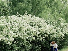 -漕湖湿地公园