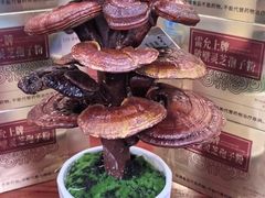 -东北食府·铁锅炖(花溪湾店)