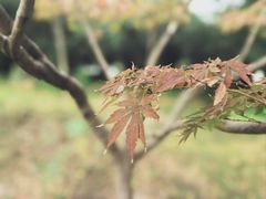 -宝界山林公园
