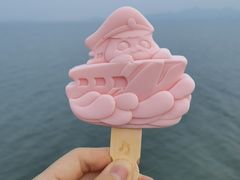 -招商蛇口邮轮母港(观光客运)