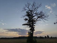 -汉长安城未央宫国家考古遗址公园