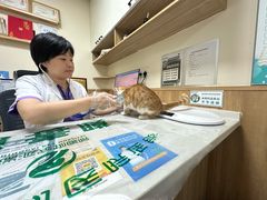 -瑞派宠物医院·24h·骨外科·皮肤科·全科宠物医疗转诊中心(沈阳浑南院)
