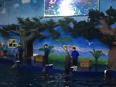 -石家庄极地海洋世界