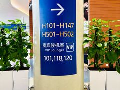 -上海浦东国际机场-T2航站楼
