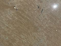 -珠海金沙滩