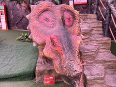 -陕西自然博物馆