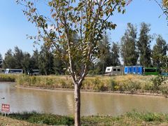 -漩门湾国家湿地公园