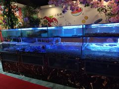 -特色酱椒鱼私房菜(黄鹤楼店)