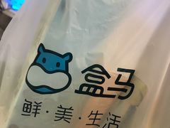-盒马鲜生(大成店)