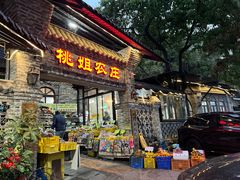 -桃姐农庄老字号(从化温泉店)