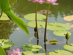 -国家植物园南园