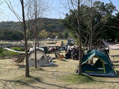 -牛岗山公园