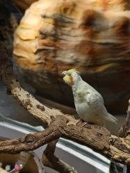 -Zoolung Zoolung动物主题公园(海信广场店)