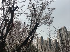 -苏州河梦清园环保主题公园