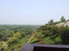 iphone_upload_pic-中国湿地博物馆