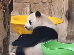 -常州淹城野生动物世界