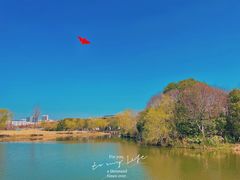 -新江湾城公园