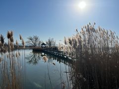 -野鸭湖国家湿地公园