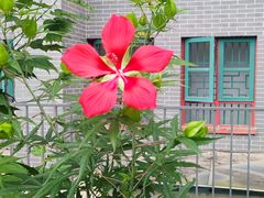 -四川大学(华西校区)