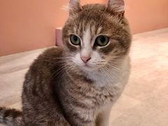 -猫儿山۰猫主题餐厅
