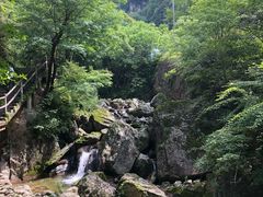 -牛背梁国家森林公园