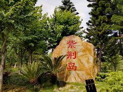 -映月湖公园