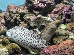 -鹿儿岛水族馆