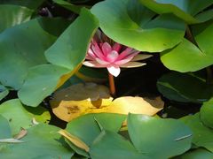 -国家植物园南园