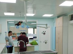 -北京观赏动物医院·24小时大型综合·猫专科·异宠专科